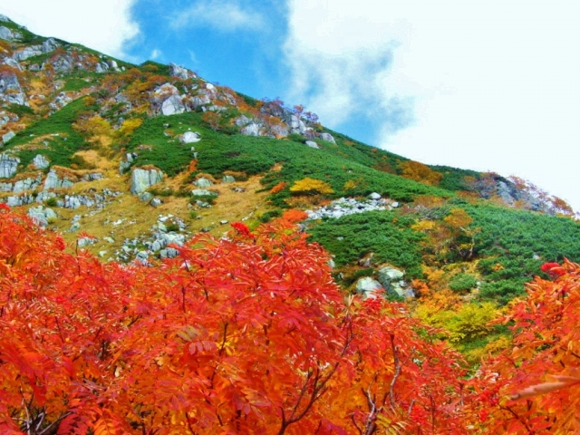 木曽駒山荘